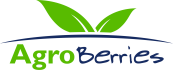 Logo_Agroberries